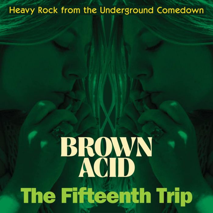 VARIOUS ARTISTS - BROWN ACID: THE FIFTEENTH TRIP