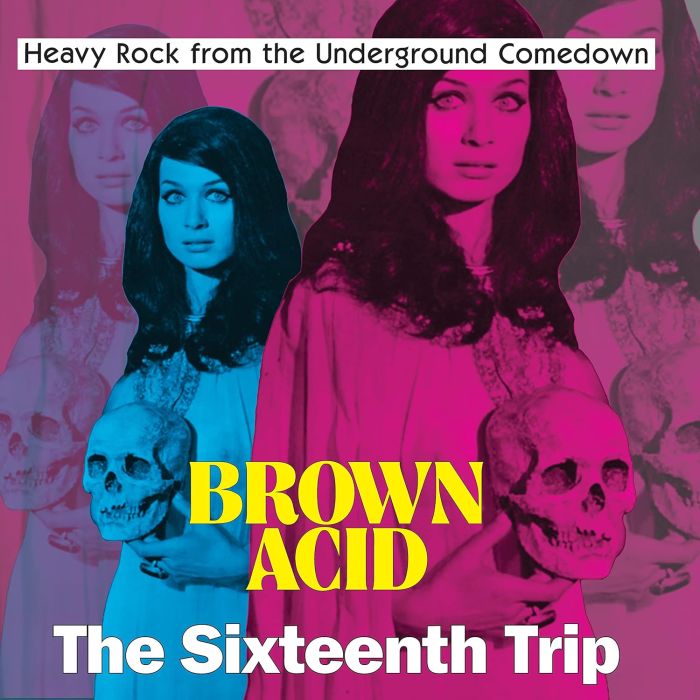 VARIOUS ARTISTS - BROWN ACID - THE SIXTEENTH TRIP