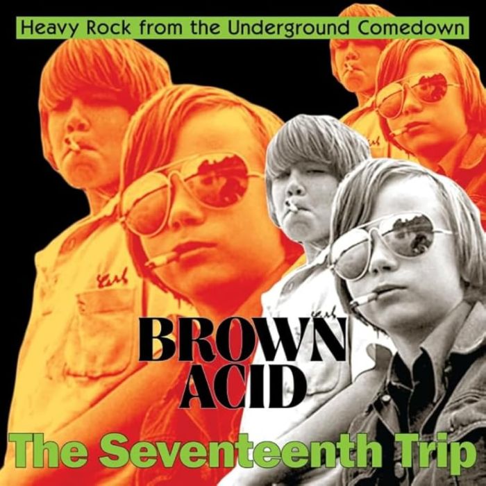 VARIOUS ARTISTS - BROWN ACID - THE SEVENTEENTH TRIP