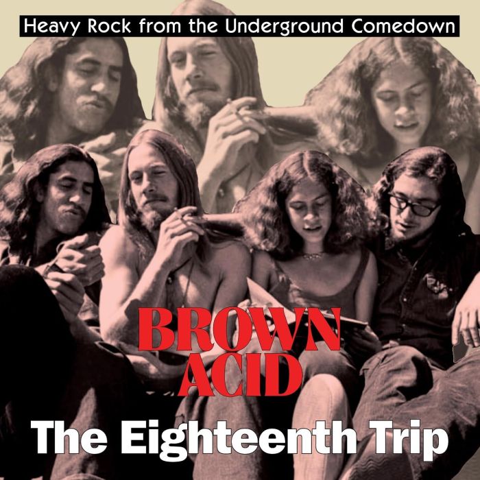 VARIOUS ARTISTS - BROWN ACID - THE EIGHTEENTH TRIP