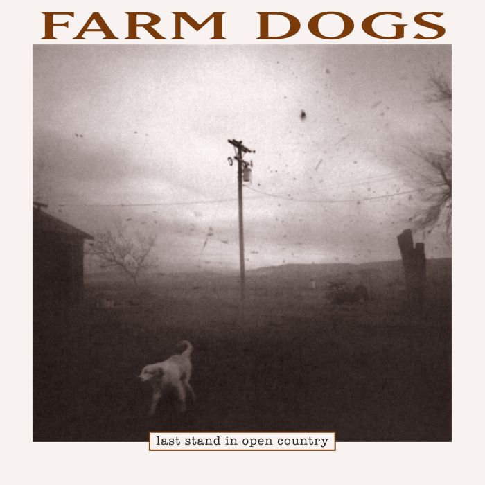 FARM DOGS - LAST STAND IN OPEN COUNTRY (2LP/140G/BLACK ICE VINYL)