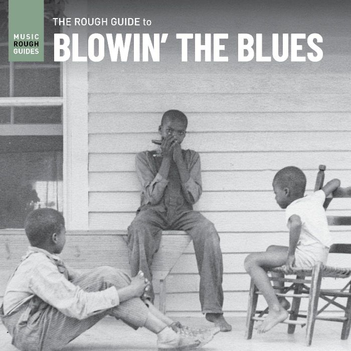 VARIOUS ARTISTS - ROUGH GUIDE TO BLOWIN THE BLUES