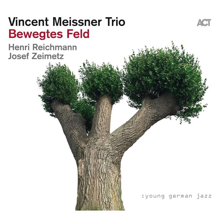 VINCENT TRIO MEISSNER - BEWEGTES FELD