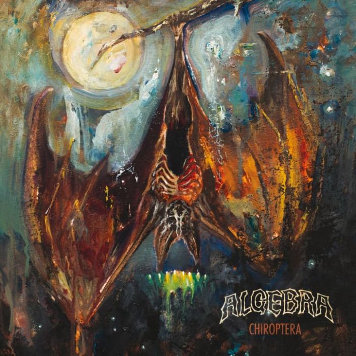 ALGEBRA - CHIROPTERA