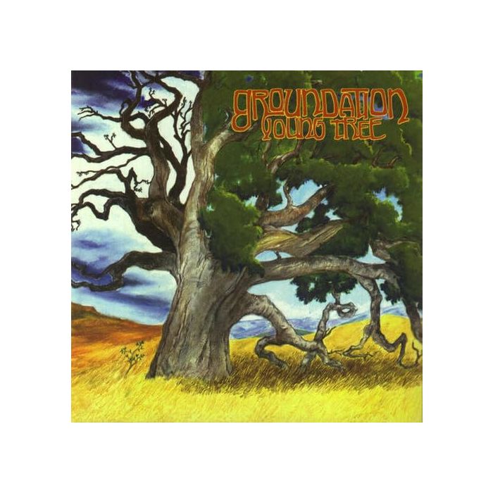 GROUNDATION - YOUNG TREE