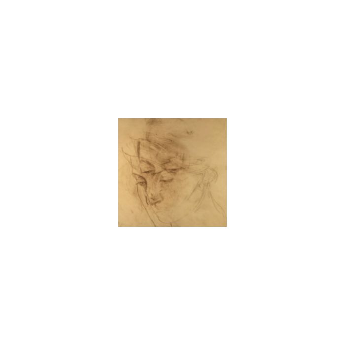 JOAN SHELLEY - COST OF COLD / HERE AND WHOLE (LIMITED EDITION)