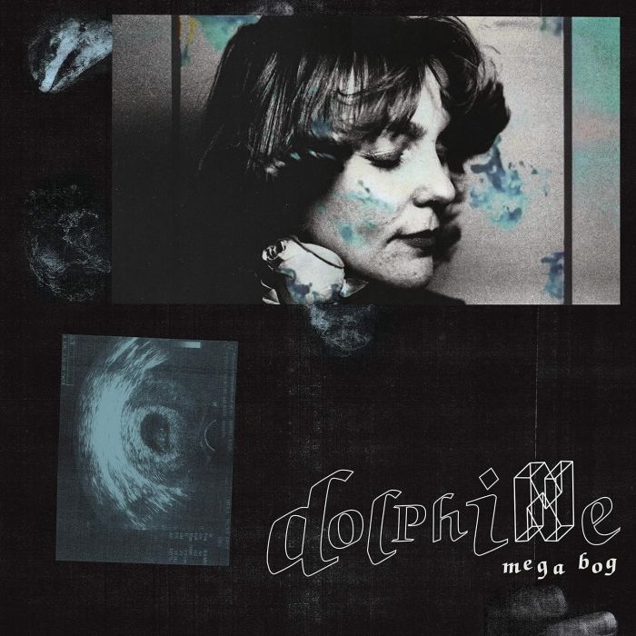 MEGA BOG - DOLPHINE