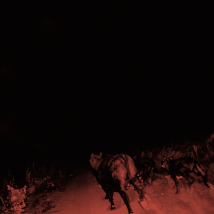 BAMBARA - SHADOW ON EVERYTHING