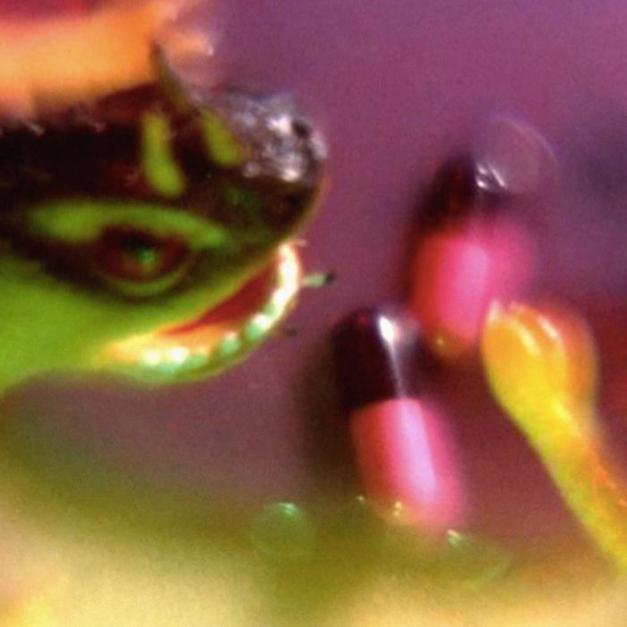 BUSH TETRAS - TAKE THE FALL
