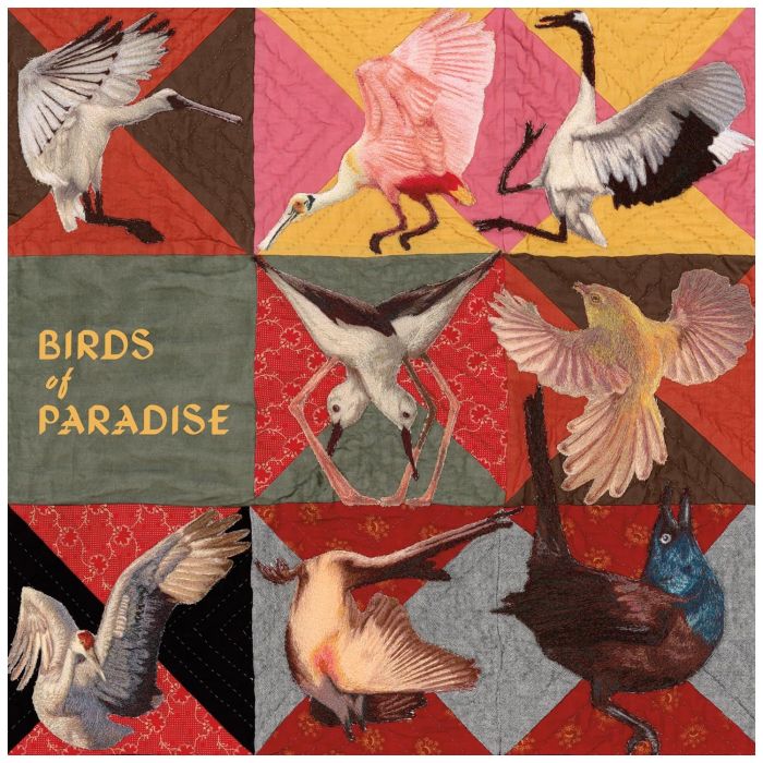 THOMAS DOLLBAUM - BIRDS OF PARADISE (ROSEATE SPOONBILL PINK VINYL)