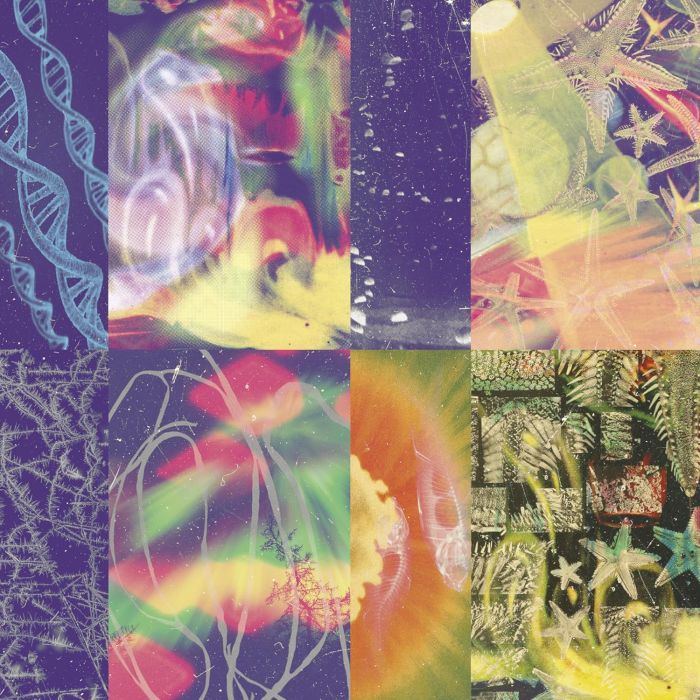 NAP EYES - NEON GATE