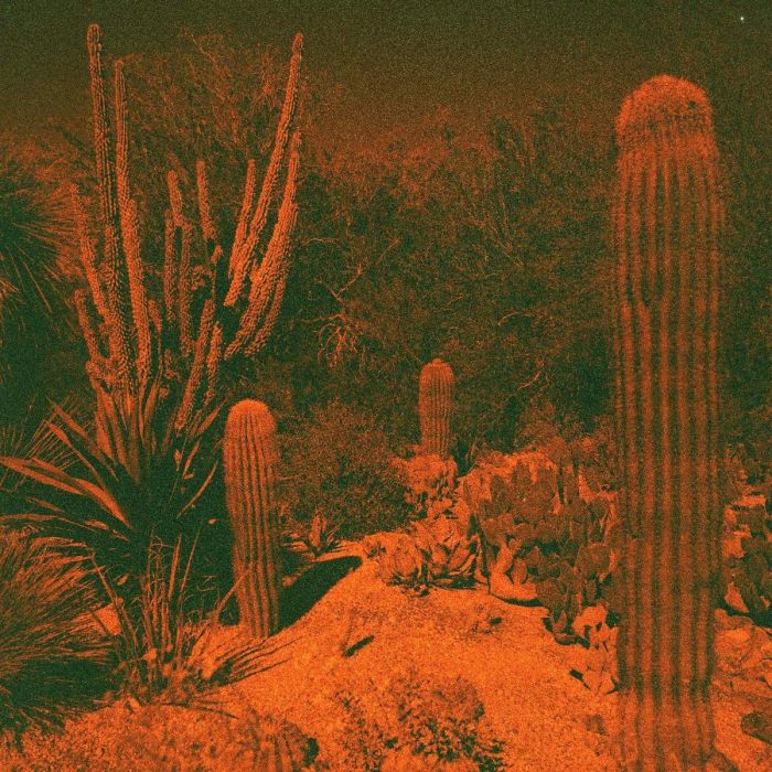 KNOWLER,CAMERON & ELI WINTER - ANTICIPATION