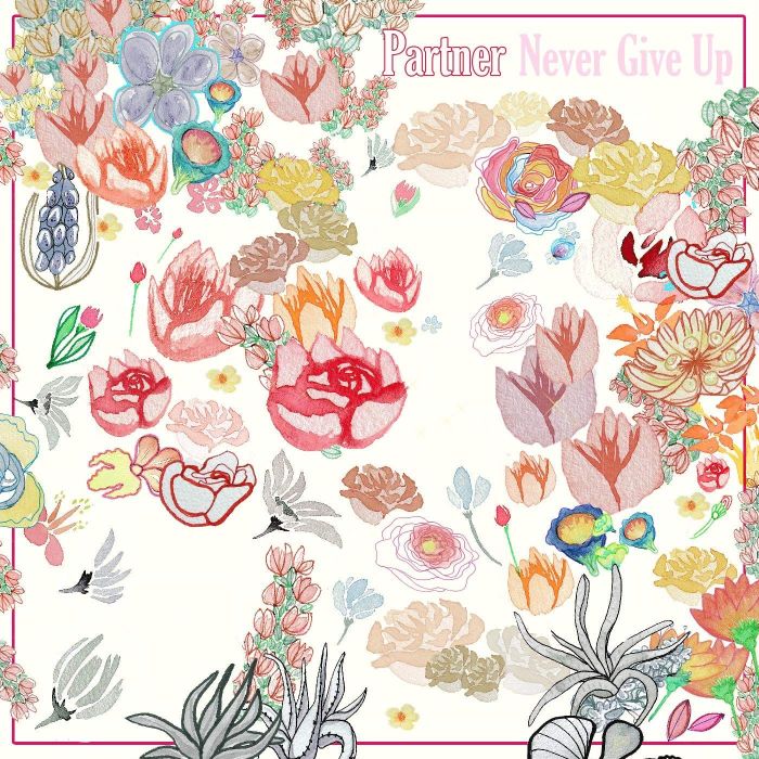 PARTNER - NEVER GIVE UP (DL CARD)