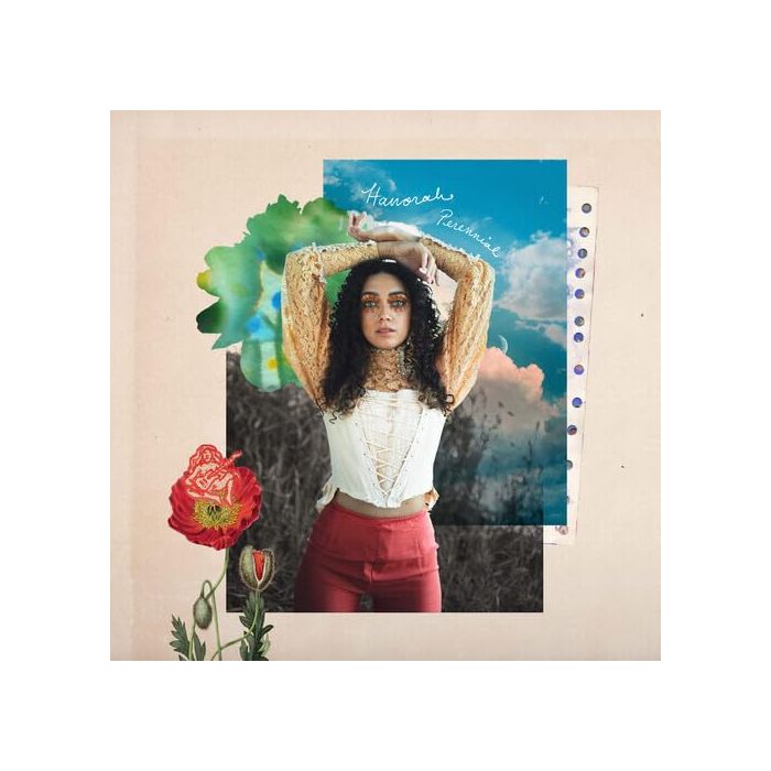 HANORAH - PERENNIAL