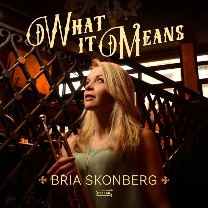 BRIA SKONBERG - WHAT IT MEANS