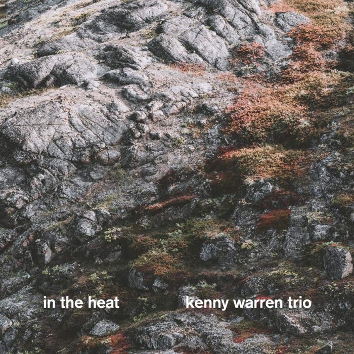 KENNY TRIO WARREN - IN THE HEAT