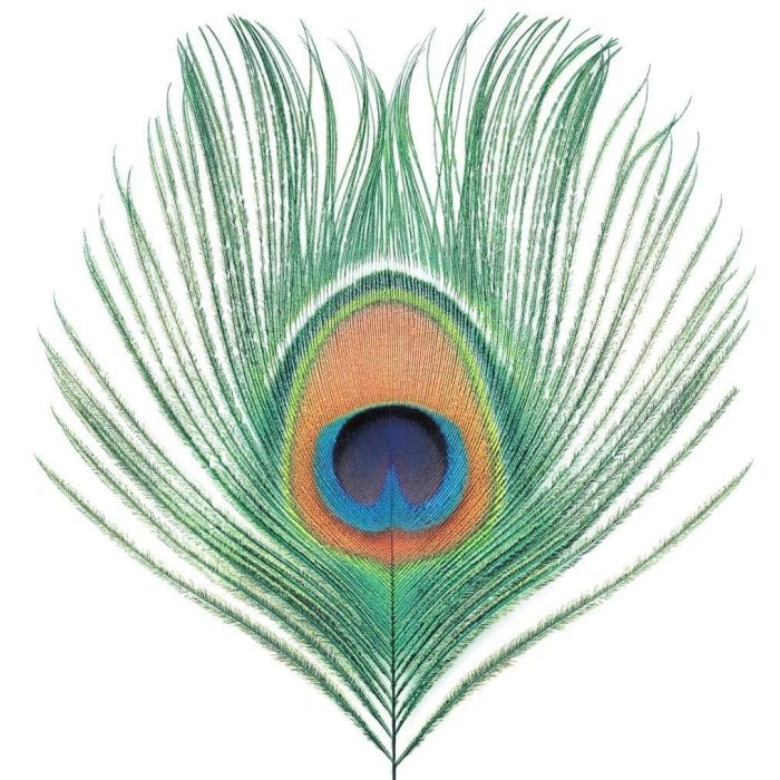 XTC - APPLE VENUS VOL. I (200G)