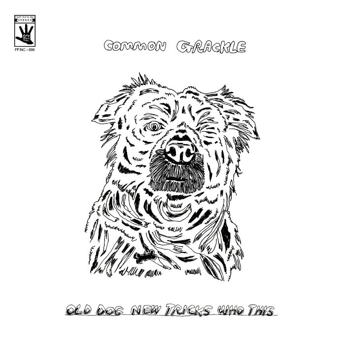 COMMON GRACKLE - OLD DOG NEW TRICKS WHO THIS (DL CARD)