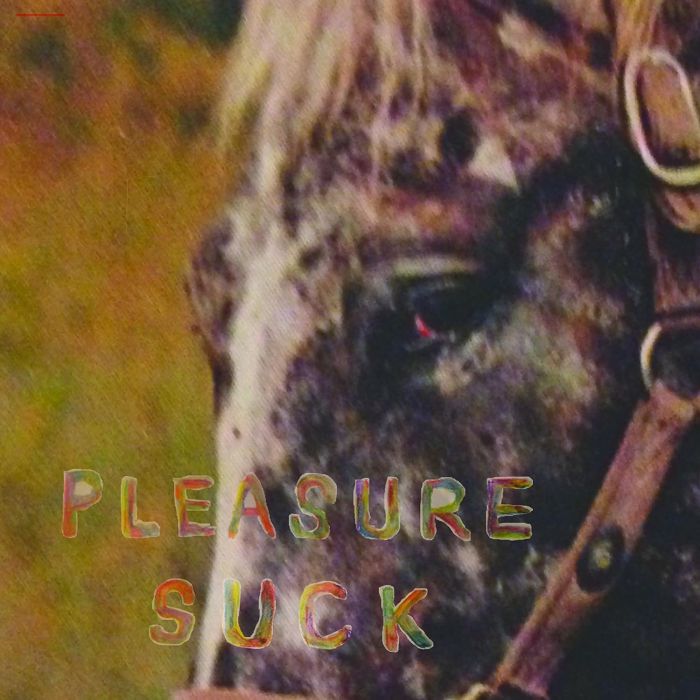 SPIRIT OF THE BEEHIVE - PLEASURE SUCK (TRANSPARENT ORANGE VINYL)