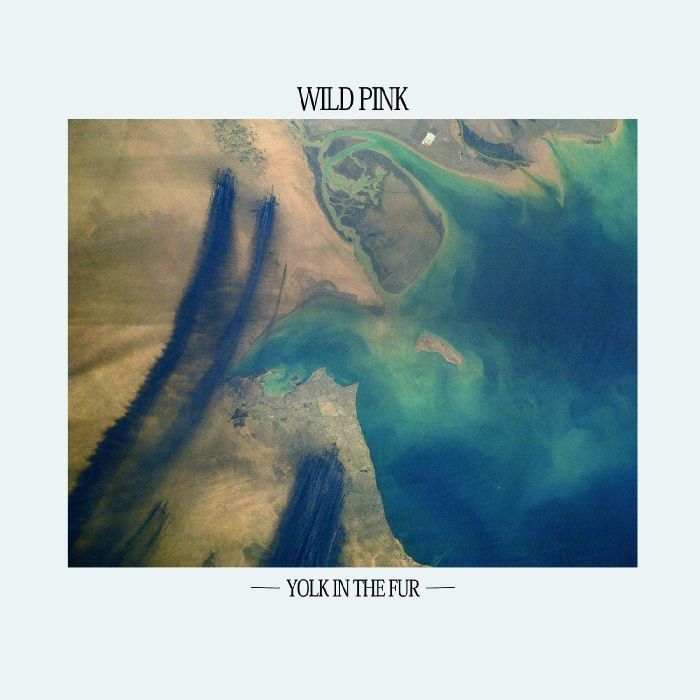 WILD PINK - YOLK IN THE FUR (TEAL VINYL)