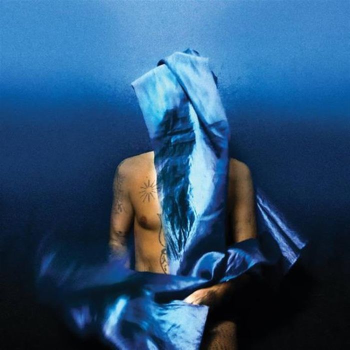 DEVENDRA BANHART - FLYING WIG (CLEAR BLUE VINYL)