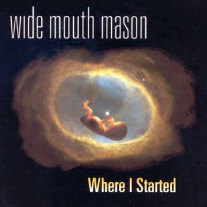 WIDE MOUTH MASON - WHERE I STARTED