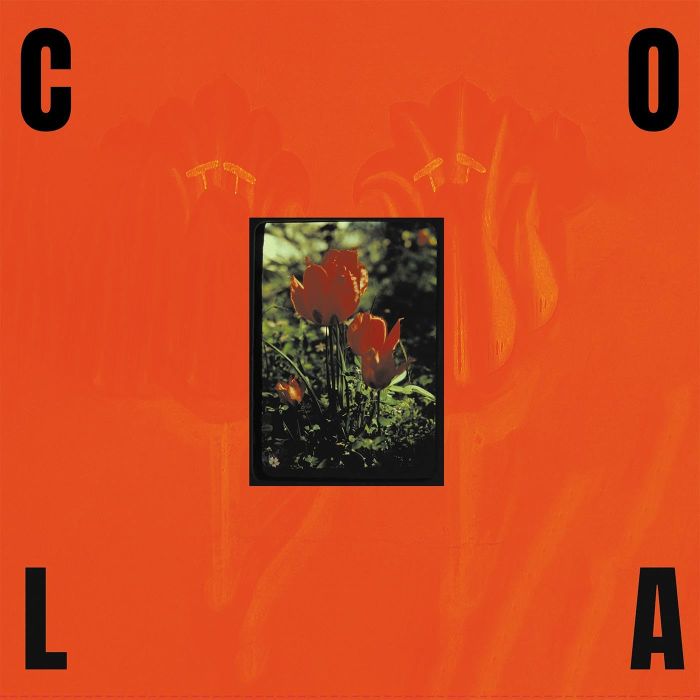 COLA - GLOSS