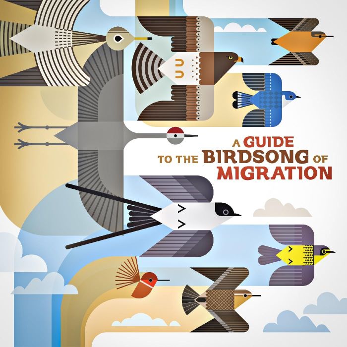 VARIOUS ARTISTS - GUIDE TO THE BIRDSONG OF MIGRATION