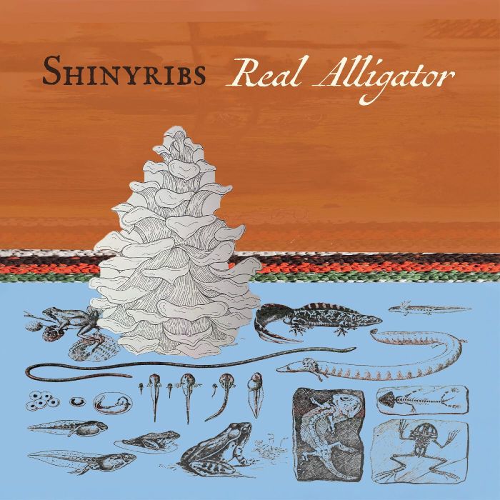 SHINYRIBS - REAL ALLIGATOR (180G)