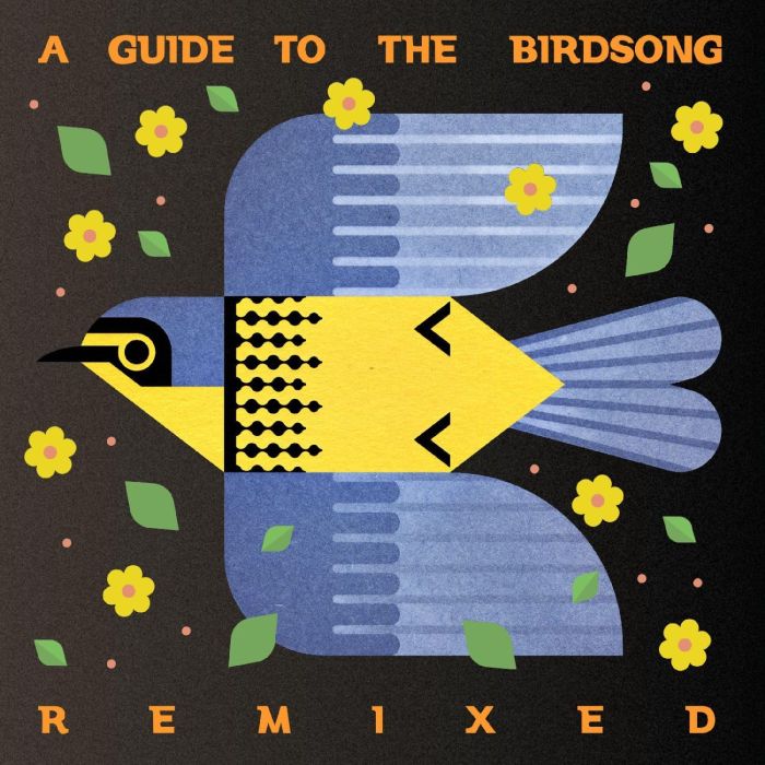 VARIOUS ARTISTS - GUIDE TO THE BIRDSONG REMIXED (180G)