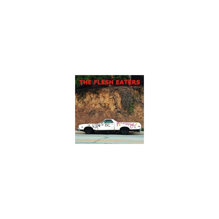 FLESH EATERS - I USED TO BE PRETTY (DL CARD)