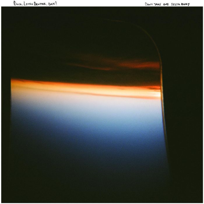 DUCK. LITTLE BROTHER, DUCK! - DON'T TAKE OUR FILTH AWAY (NAVY & AMBER A SIDE/B SIDE VINYL)
