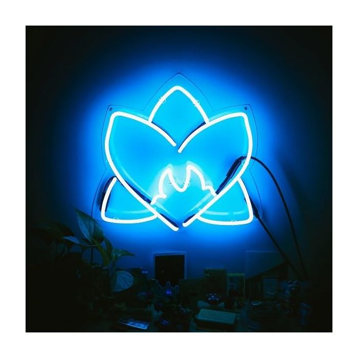 VARIOUS ARTISTS - RADIATING LIGHT