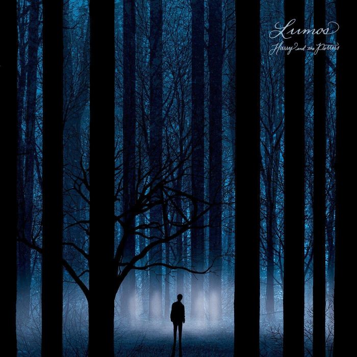 HARRY & THE POTTERS - LUMOS