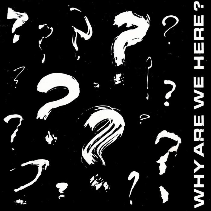 Various Artists - Why Are We Here?