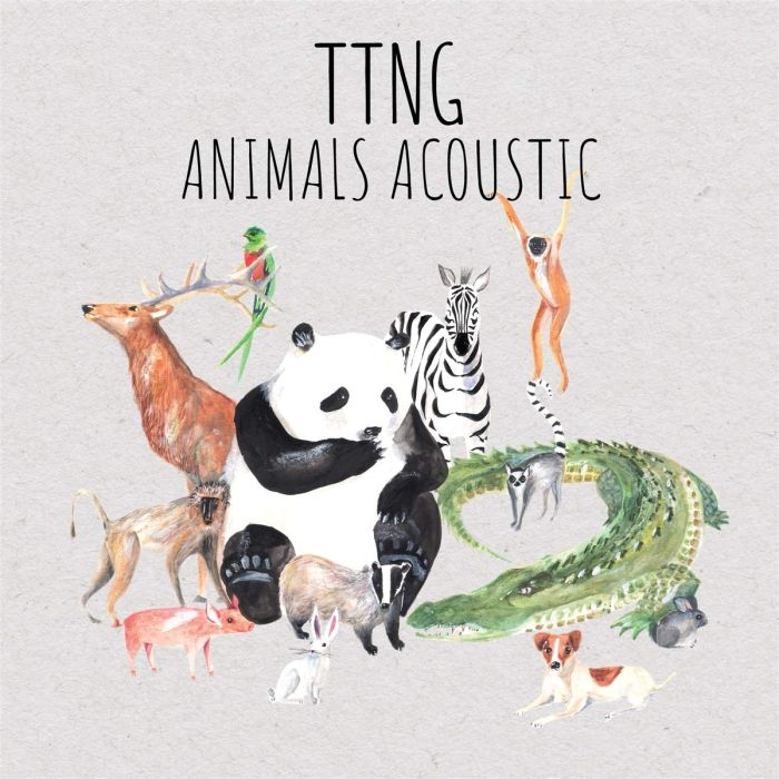 TTNG - ANIMALS ACOUSTIC
