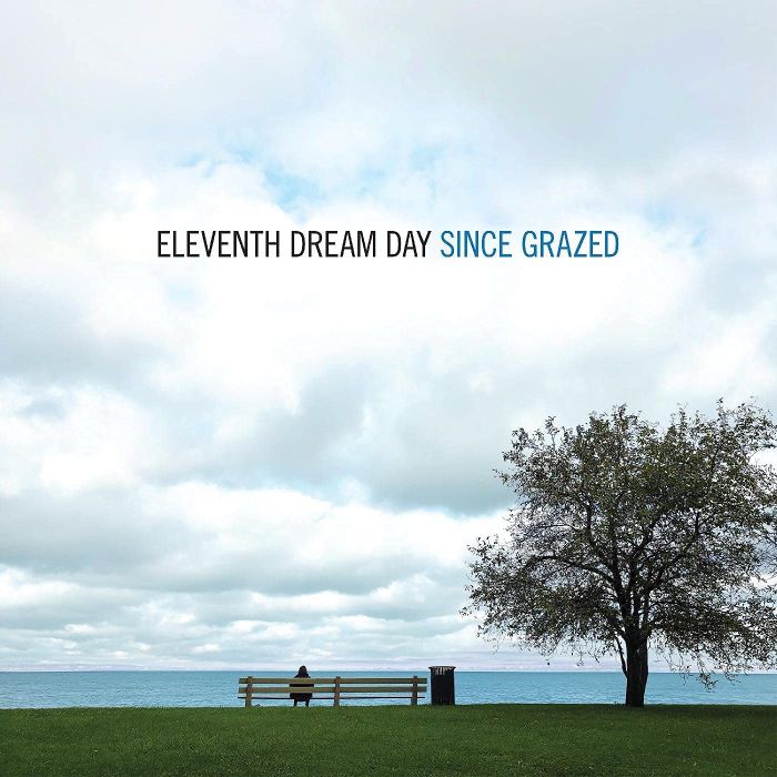 ELEVENTH DREAM DAY - SINCE GRAZED