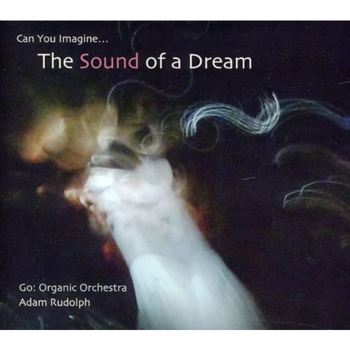 ADAM RUDOLPH - GO: ORGANIC ORCHESTRA-CAN YOU IMAGINE-SOUND OF A DREAM