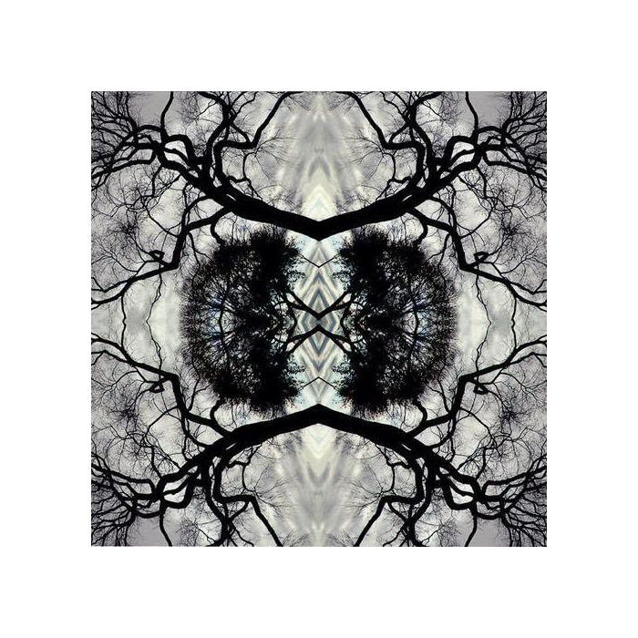 ADAM RUDOLPH - SONIC MANDALA GO: ORGANIC ORCHESTRA