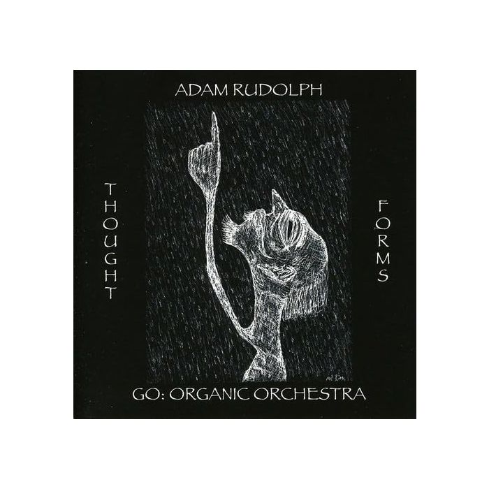 ADAM RUDOLPH - THOUGHT FORMS-GO: ORGANIC ORCHESTRA
