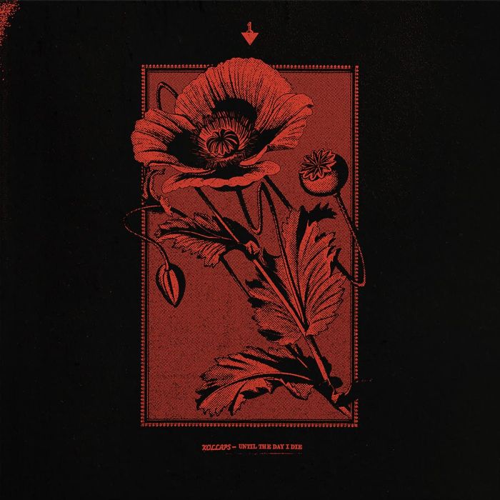 KOLLAPS - UNTIL THE DAY I DIE