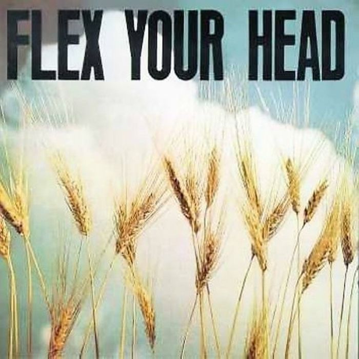 VARIOUS ARTISTS - FLEX YOUR HEAD