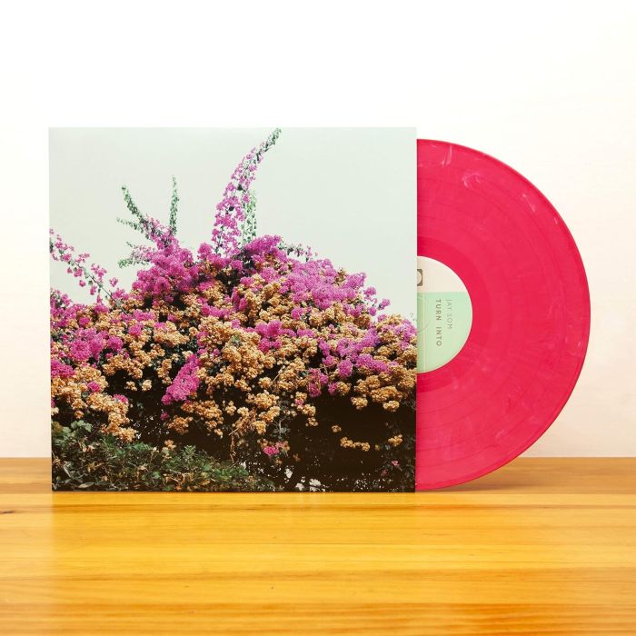 JAY SOM - TURN INTO