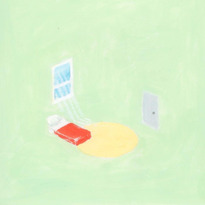 FLORIST - BIRDS OUTSIDE SANG (10 YEAR ANNIVERSARY) (MONET MARBLE VINYL)