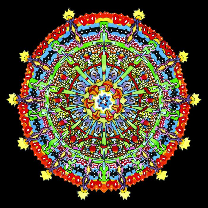 OF MONTREAL - HISSING FAUNA ARE YOU THE DESTROYER?