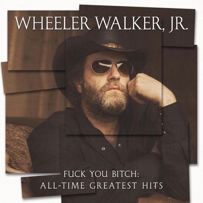 WHEELER WALKER JR. - FUCK YOU BITCH: ALL-TIME GREATEST HITS