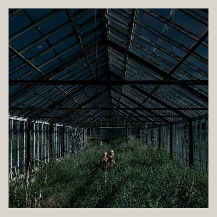 FOXING - DEALER