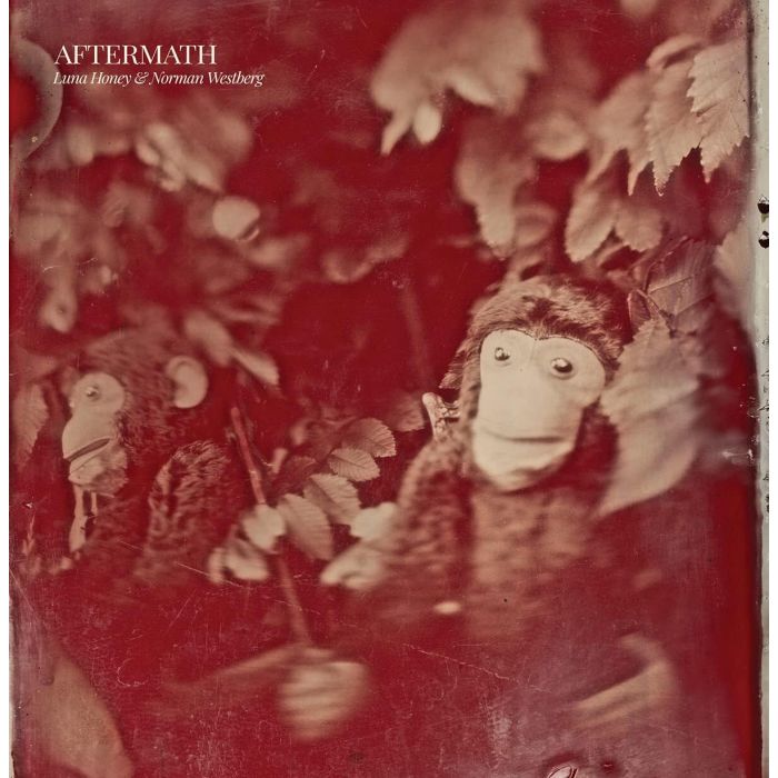 HONEY,LUNA & NORMAN WESTBURG - AFTERMATH