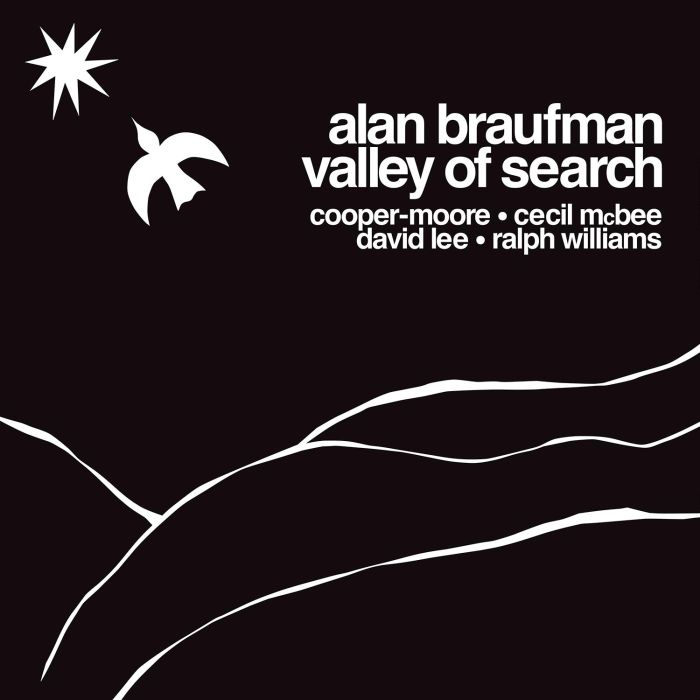 ALAN BRAUFMAN - VALLEY OF SEARCH