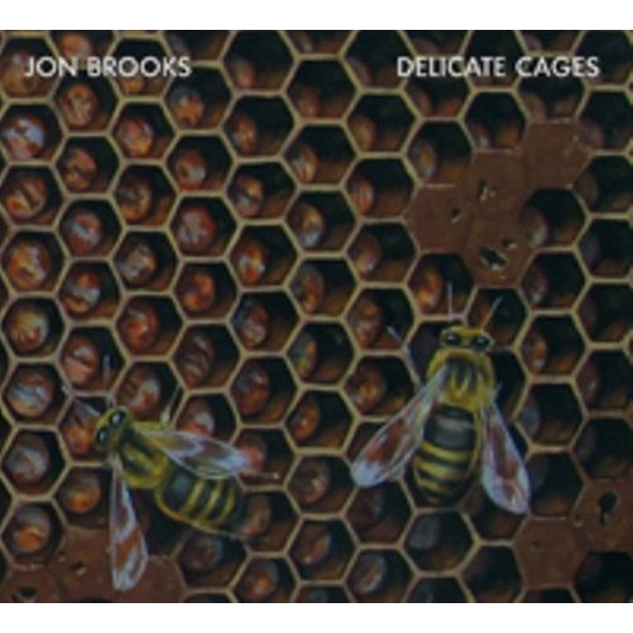 JON BROOKS - DELICATE CAGES